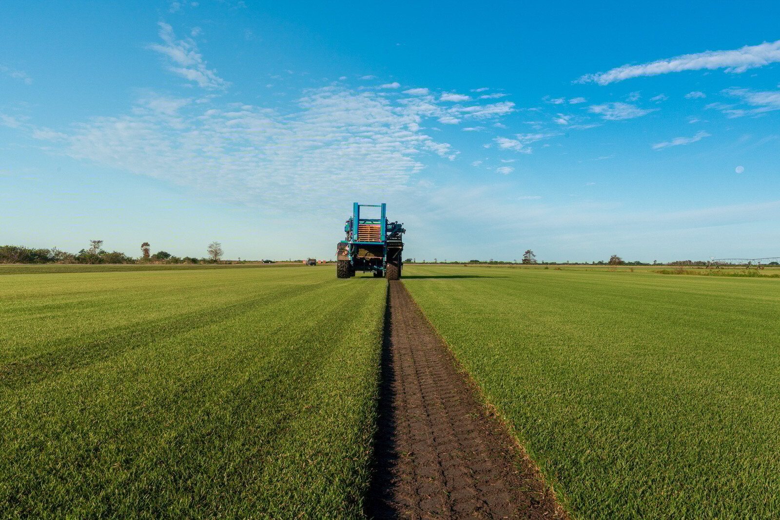 Why We Only Buy from Certain Sod Farms: Pro Tips for the Orlando